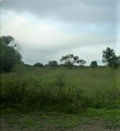 VENDO CAMPO SGO DEL ESTERO