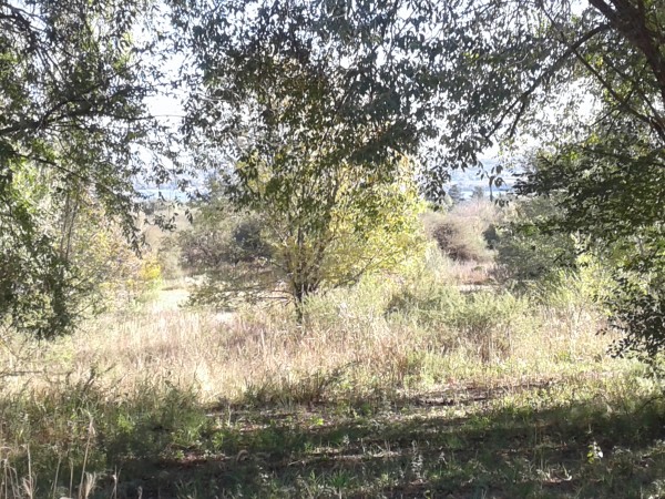 VENDO TERRENO LA PERLA DEL LAGO - COMUNA SAN ROQUE